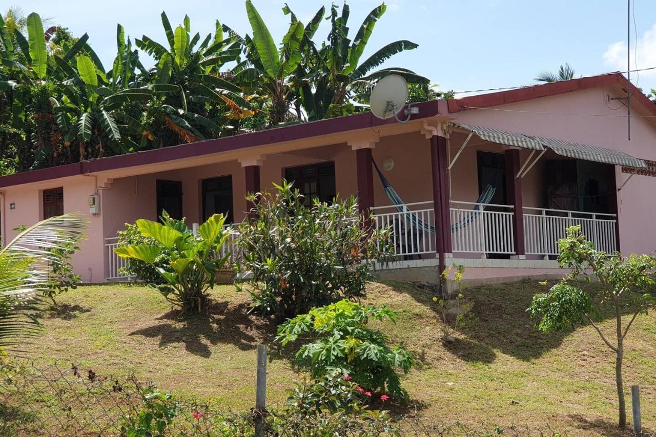 Le Petit Robert Maison F3 Plein Pied Le Robert Exteriör bild
